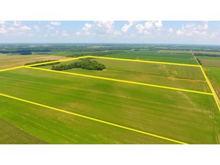 TRACTS 2-3 - FARMLAND AUCTION - 240+/- ACRES IN 3 TRACTS IN JEFFERSON COUNTY, ILLINOIS